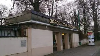 Od Nowego Roku Stare Zoo znowu jest płatne