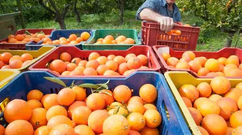 Droga przyjemność. Ceny nie spadną jeszcze przez kilka lat