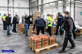 Narkotyki ukryte były między pomidorami