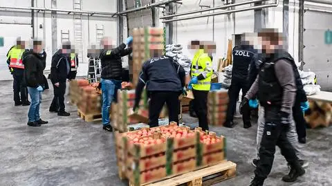 Narkotyki ukryte były między pomidorami