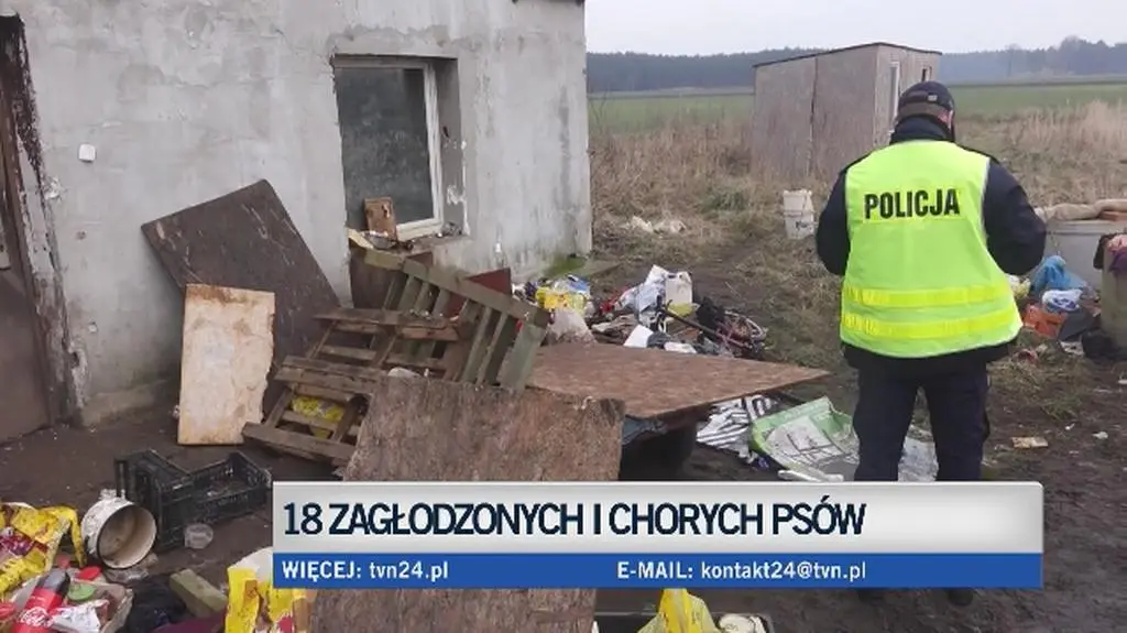 18 zagłodoznych chorych psów