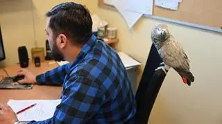 Pracownicy Grupowej Oczyszczalni Ścieków kupili papugę