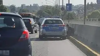 Policjanci zaopiekowali się potrąconym lisem
