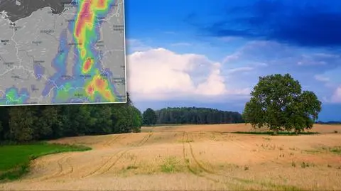 metvmap