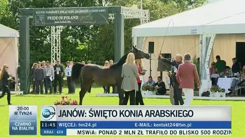 Święto Konia Arabskiego w Janowie Podlaskim