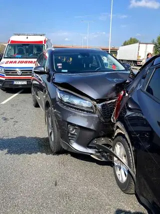 Cofał na A4, doprowadził do kolizji i ugryzł kierowcę, w którego auto uderzył