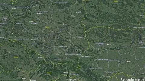 Pszczyna. Urzędnicy i radni ostrzegają przed pumą na wolności