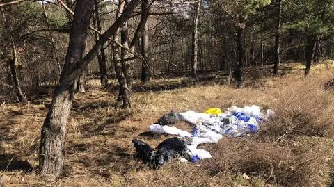 Odpady trafiły do lasu