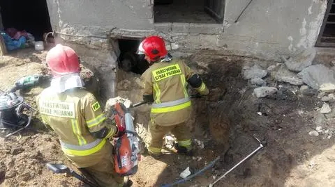 Koń wpadł do piwnicy, strażacy wyburzyli część ściany