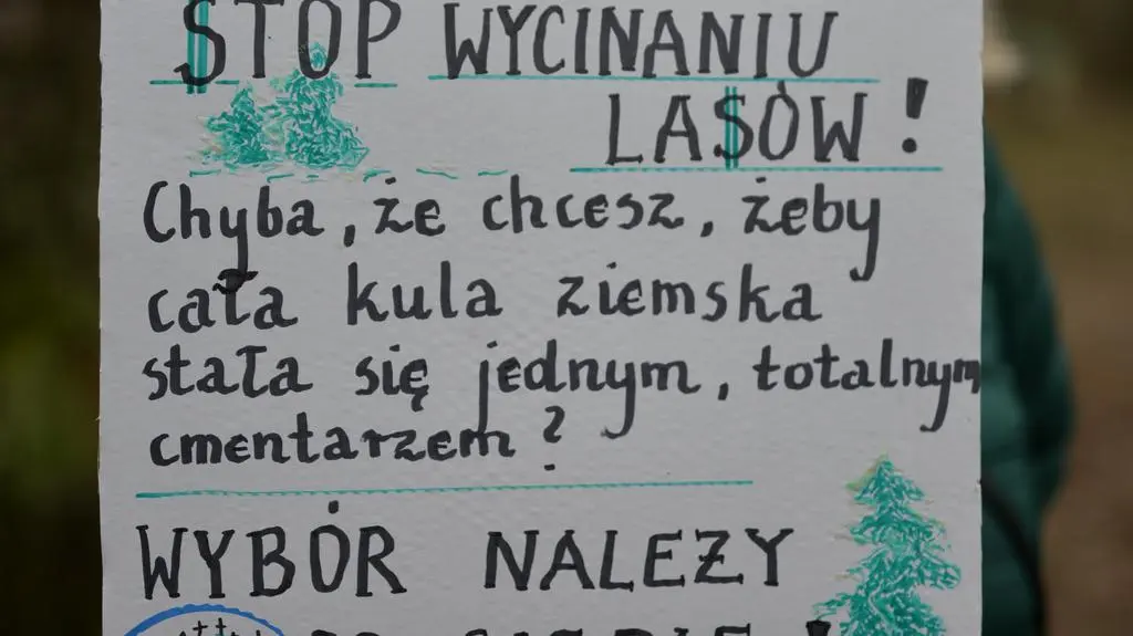 "Stop wycinaniu lasów"