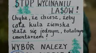"Stop wycinaniu lasów"