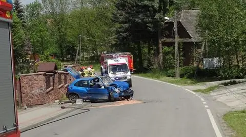 Kierowca uderzył w ogrodzenie