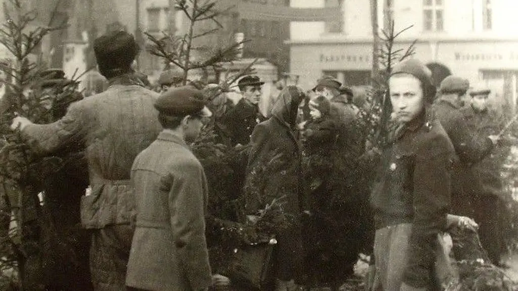 Sprzedaż choinek na rynku