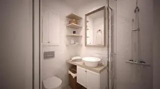 Skandynawska łazienka w byłym Domu Asystenta