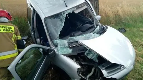 Citroen uderzył bokiem w drzewo