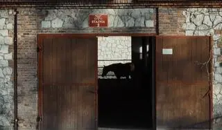Stadnina koni w Janowie Podlaskim