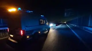 Aleksandrowianka tłumaczyła, że musiała pilnie udać się do weterynarza, a na drogę wjechała pod prąd przez pomyłkę