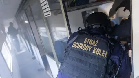 Zamiast pilnować porządku w pociągu – pił alkohol. Nietrzeźwego ochroniarza wyprowadzono na stacji