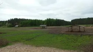 W gospodarstwie pod Opocznem przebywa ponad 40 koników polskich 