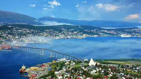 W Norwegii kupują niemal tylko jeden typ auta