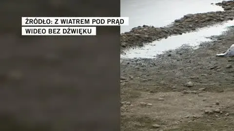 Z wiatrem pod prąd