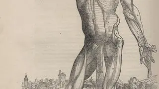 Ryciny z: Andreas Vesalius, De humani corporis fabrica