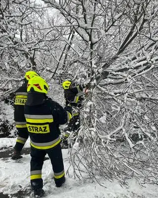 Podkarpaccy strażacy od sobotniego poranka interweniowali już 650 razy