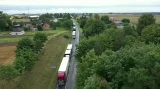 Rolnicy domagają się decyzji o skupie trzody chlewnej