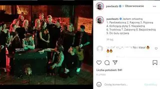 Pawbeats na Instagramie 