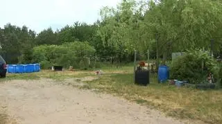 Do tragedii doszło w miejscowości Nowe Ślepce