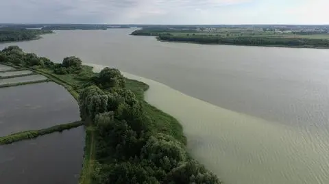 "Zmiana zabarwienia wody". Nieznana substancja w jeziorze Gopło, zamknięto kąpieliska