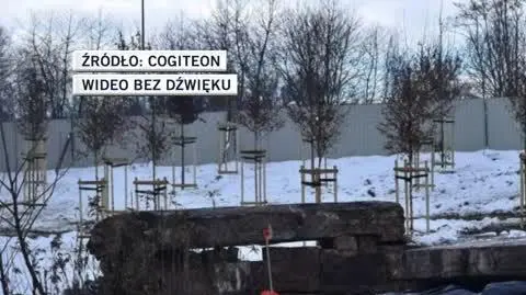 bartlomiej slideshow 