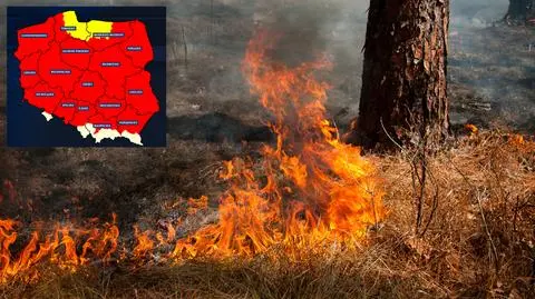 "Ściółka jest podatna na najmniejsze źródło ognia". Rośnie zagrożenie