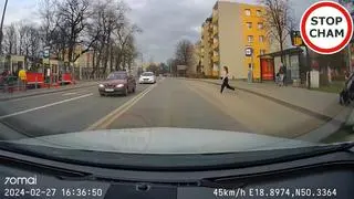 Piesza wbiegła prosto pod koła