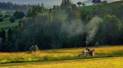 Jak głosowali mieszkańcy wsi?