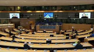 Wysłuchanie w Brukseli zorganizowały wspólnie komisje Parlamentu Europejskiego