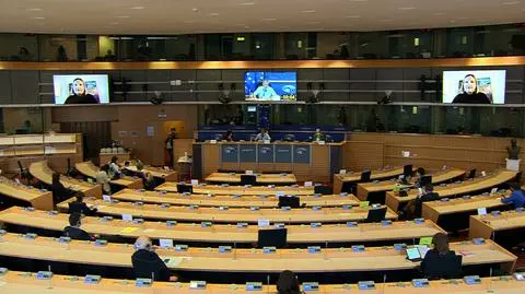 Wysłuchanie w Brukseli zorganizowały wspólnie komisje Parlamentu Europejskiego