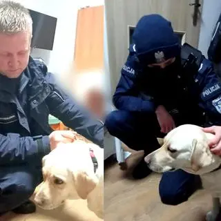 Psa zauważyli policjanci 