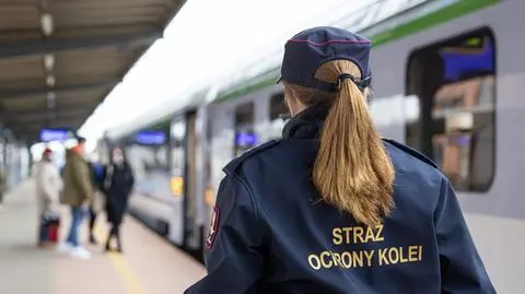 Mężczyzna był agresywny i kopnął funkcjonariuszkę Straży Ochrony Kolei