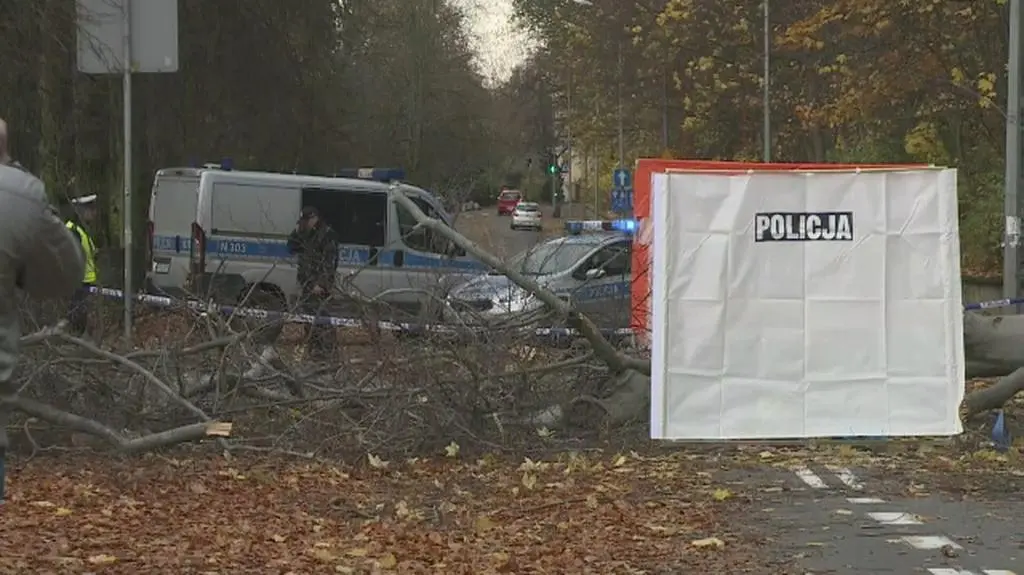 Drzewo przygniotło dwie kobiety w Sopocie