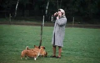Królowa Elżbieta II fotografuje swoje corgi w Windsor Park w 1960 roku 