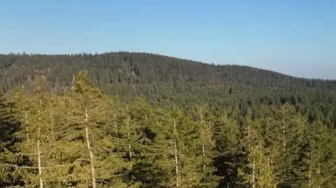 0105UE SZTUKA ROWERY