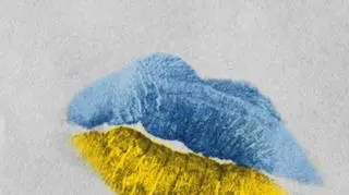 Wystawa "Shout for Ukraine"