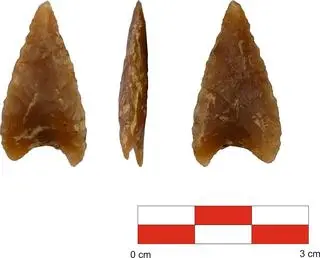 Odkrycie archeologiczne w Jawiszowicach