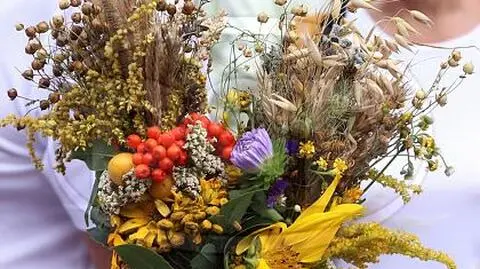 Ziele na Matki Boskiej Zielnej 