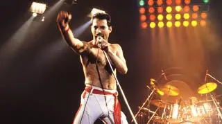 Freddie Mercury 