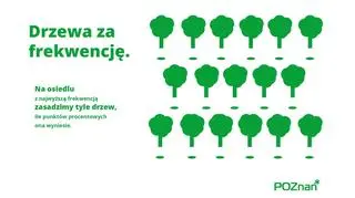 Walka o frekwencję. Miasto Poznań kusi drzewami