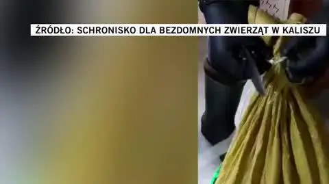 schronisko