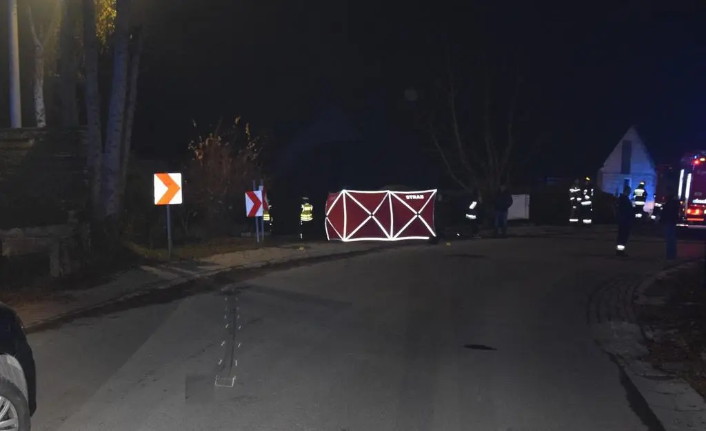 Nastolatkowie uderzyli w ogrodzenie