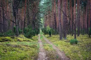 Kampinoski Park Narodowy 